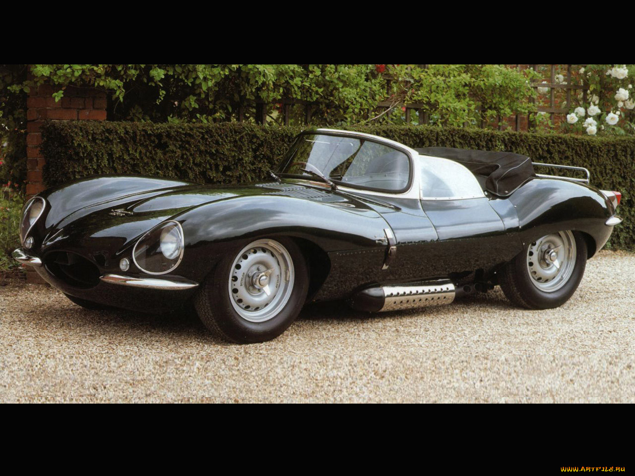 , jaguar